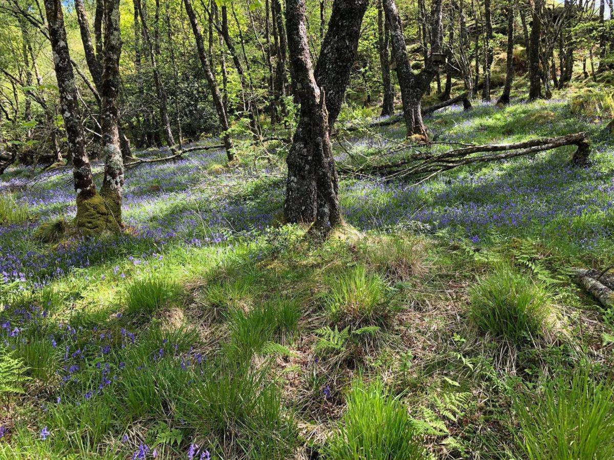 Barfad Self Catering Holiday Cottages Tarbert  Extérieur photo