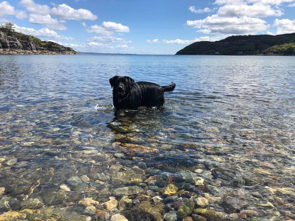 Barfad Self Catering Holiday Cottages Tarbert  Extérieur photo